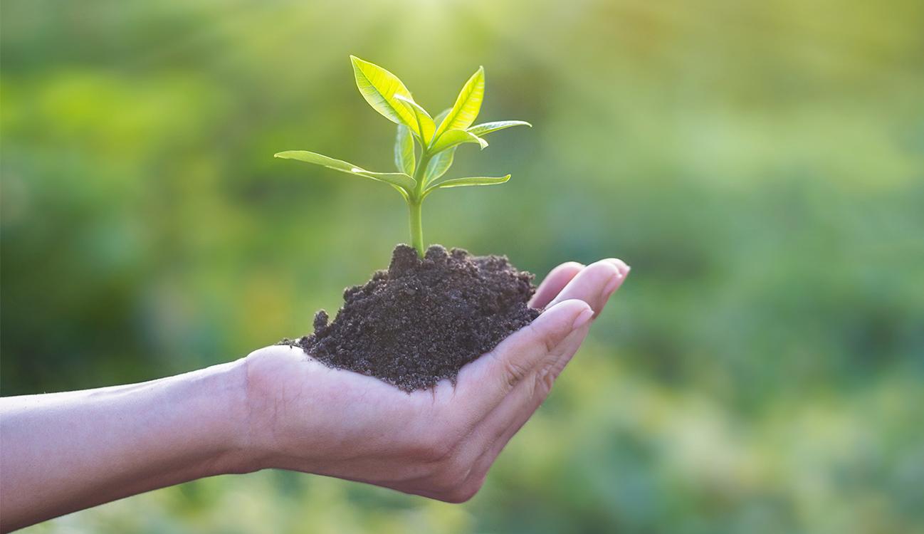 BRITA sustainability hand holding soil with plant