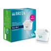 MAXTRA PRO Water Filter Cartridges